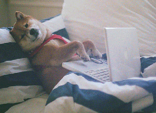 Olivia GIF dog typing