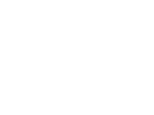 Partnership Logo