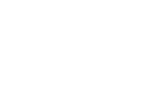 Quin Logo