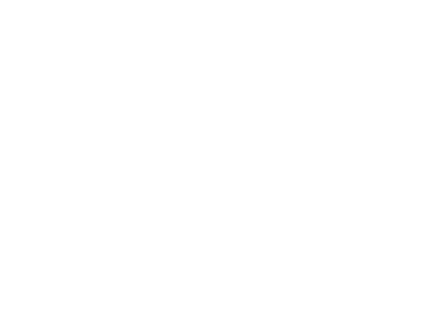 Nucleus Networks client case Study Mr. Lube