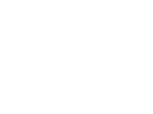 Nucleus Networks Case Study Sierra Metals