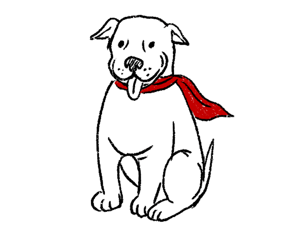 Gir, Nucleus MSP Supercharge Dog